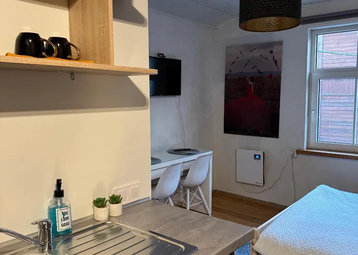 Freshly Renovated Bathroom! Luna Budget Cozy Juhkentali 42 Near Centre Airport Next To The Bus Station * 塔林